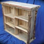 Double Beetle Kill Bookcase
